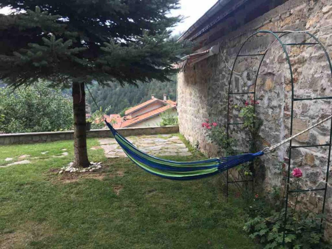 Ambrozia Spa And Relax Family House Bachkovo Dış mekan fotoğraf
